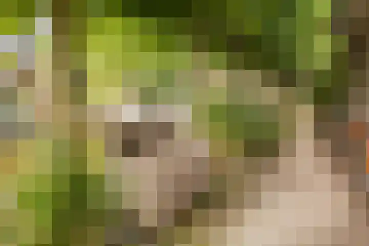 Valentijnsingel 16 Ter Aar thumbnail 57