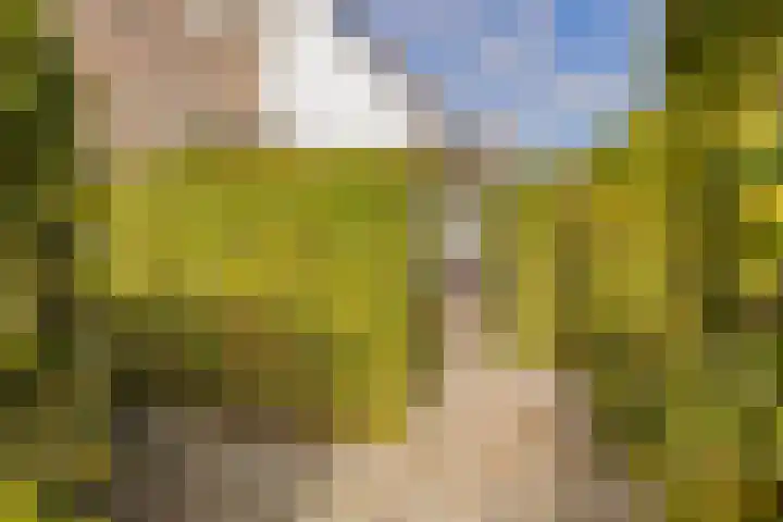 Valentijnsingel 16 Ter Aar thumbnail 60
