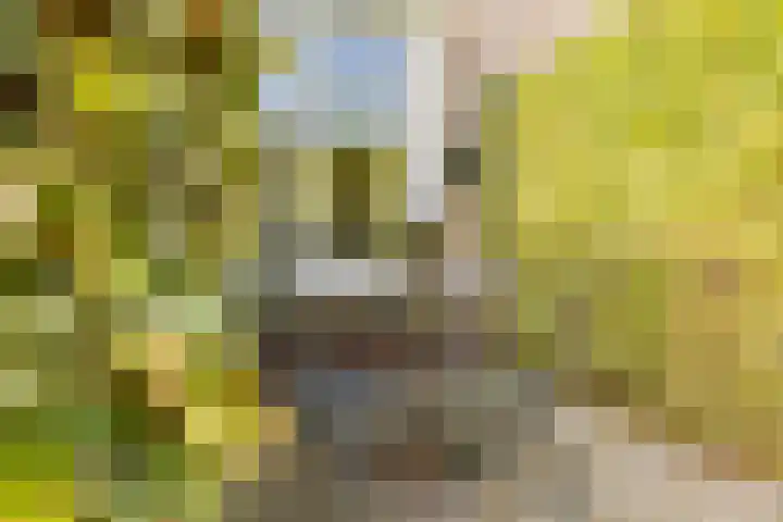 Valentijnsingel 16 Ter Aar thumbnail 61
