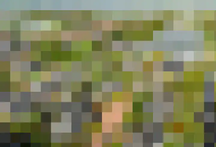 Valentijnsingel 16 Ter Aar thumbnail 64