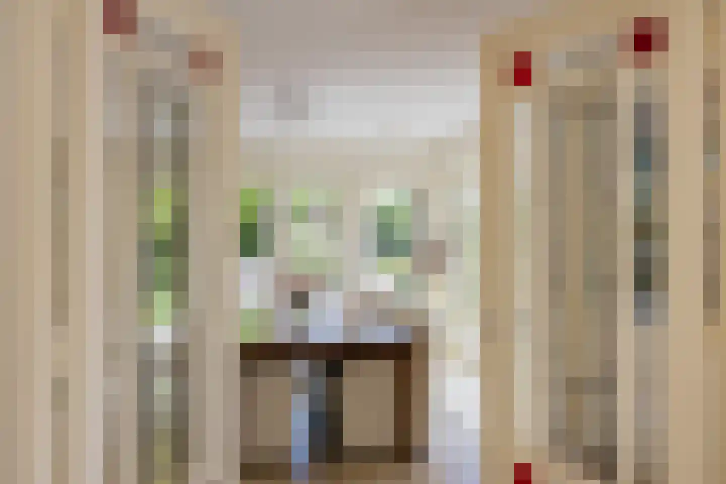 Valentijnsingel 6 Ter Aar thumbnail 20