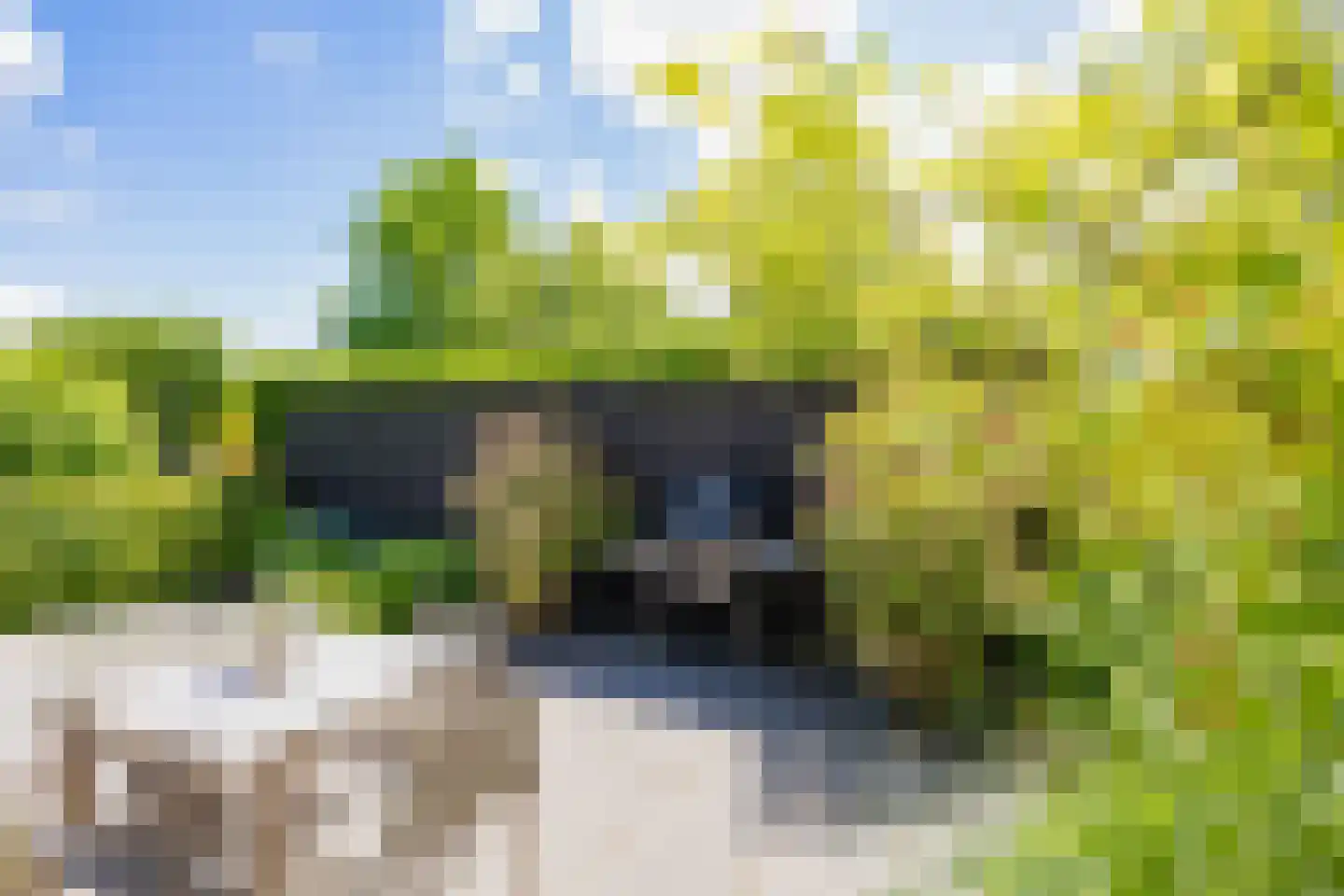 Valentijnsingel 6 Ter Aar thumbnail 27
