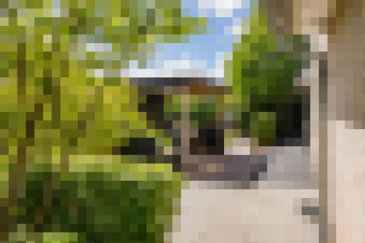 Valentijnsingel 6 Ter Aar thumbnail 28