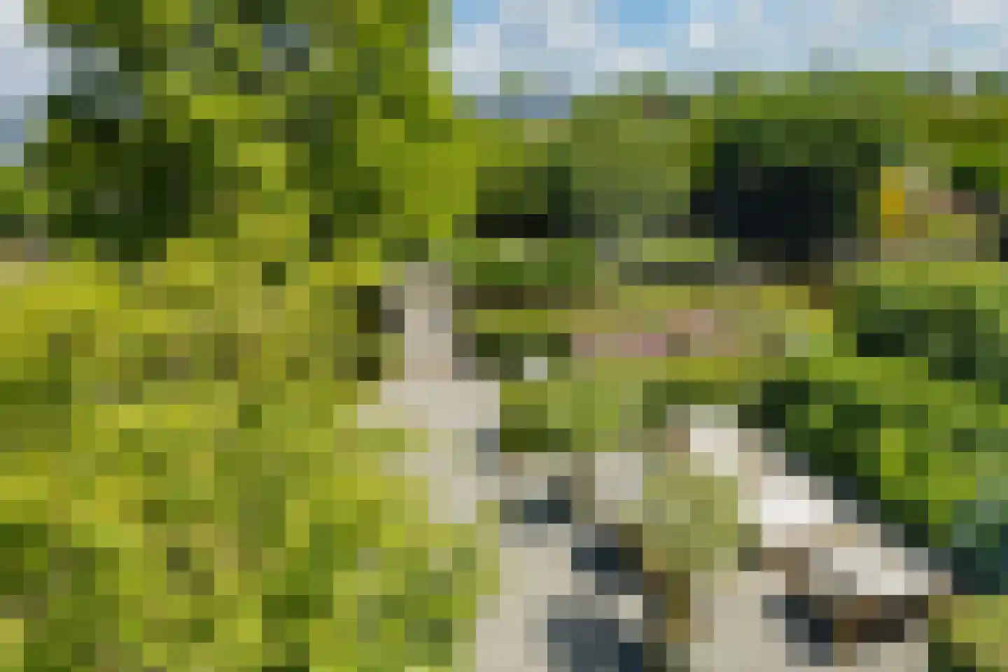 Valentijnsingel 6 Ter Aar thumbnail 54