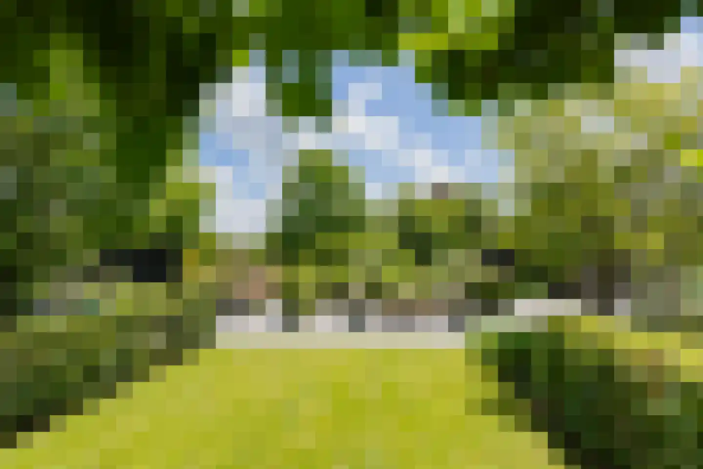 Valentijnsingel 6 Ter Aar thumbnail 56