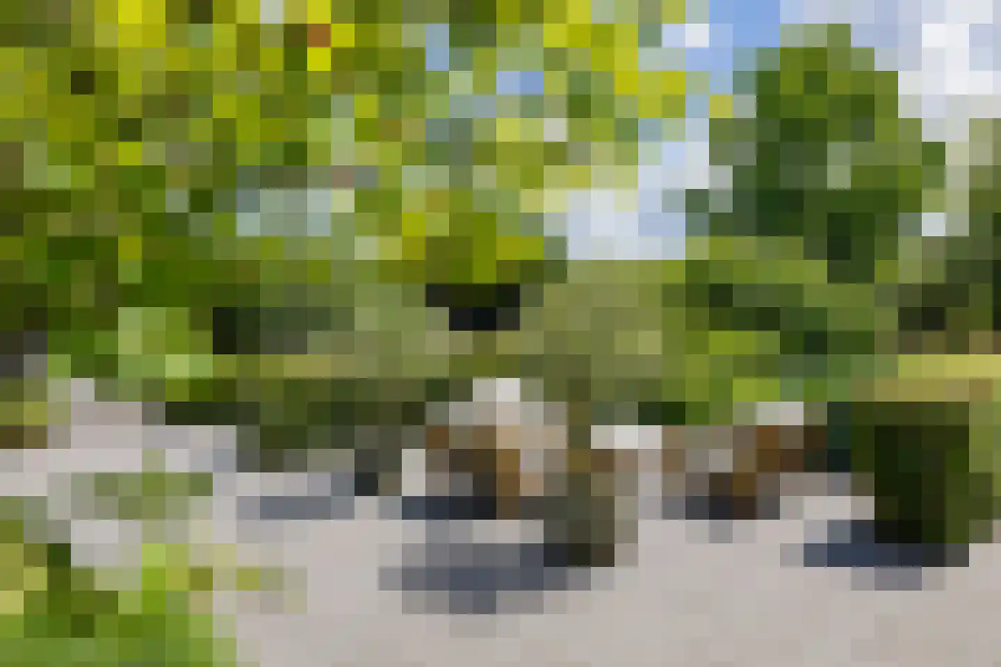 Valentijnsingel 6 Ter Aar thumbnail 58