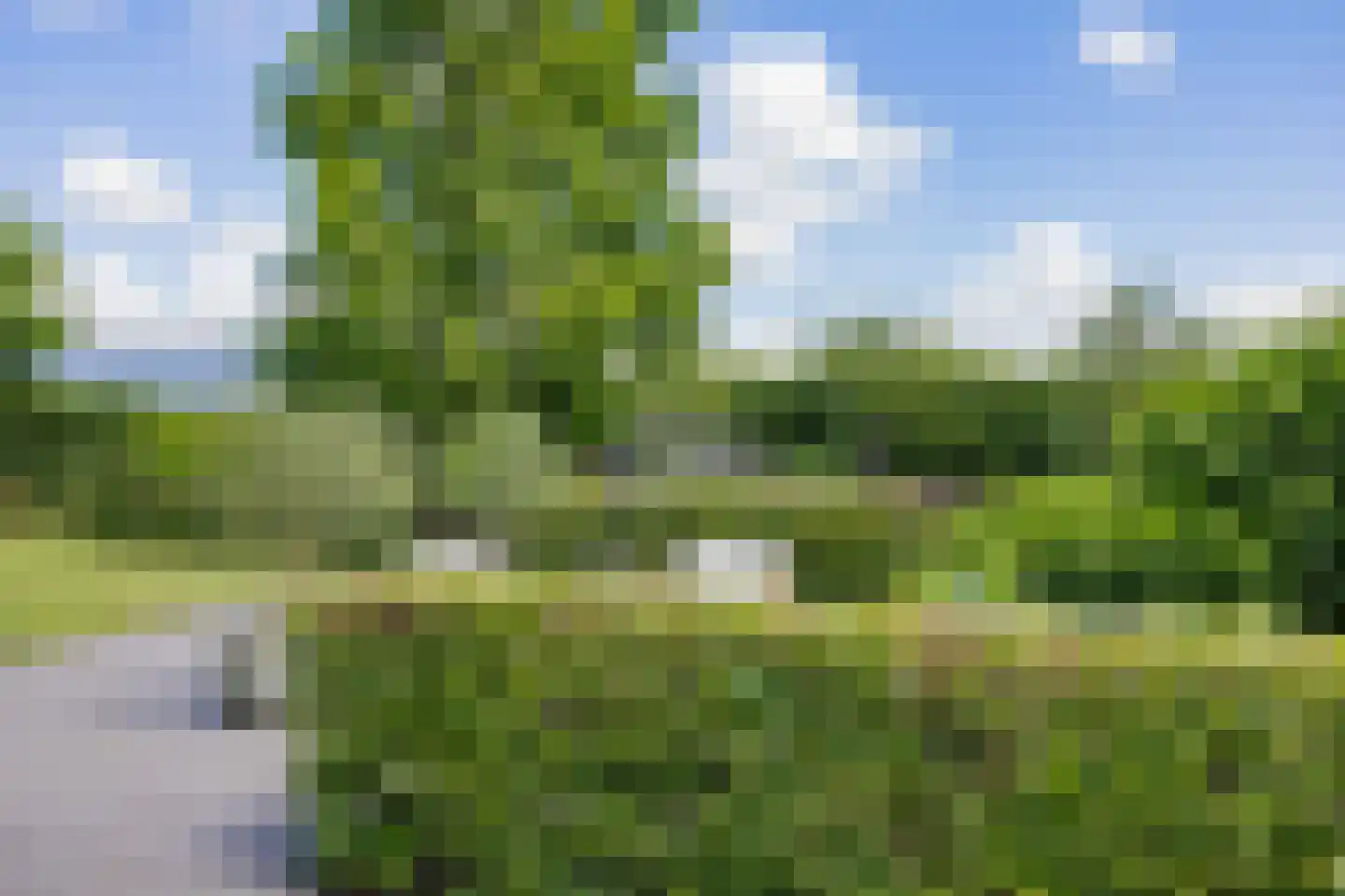 Valentijnsingel 6 Ter Aar thumbnail 59