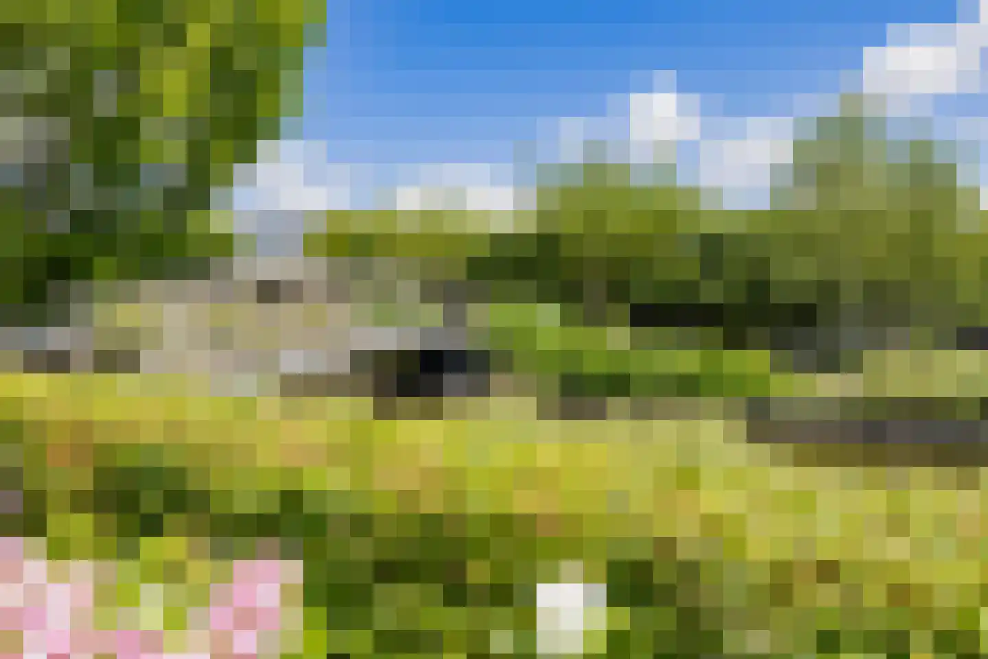 Valentijnsingel 6 Ter Aar thumbnail 60