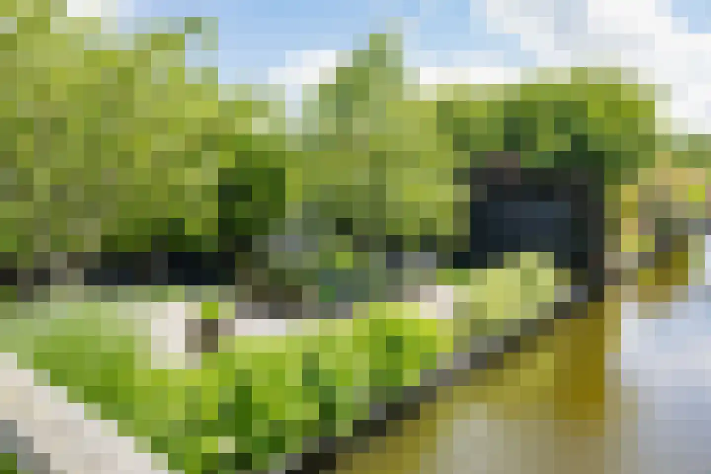 Valentijnsingel 6 Ter Aar thumbnail 63