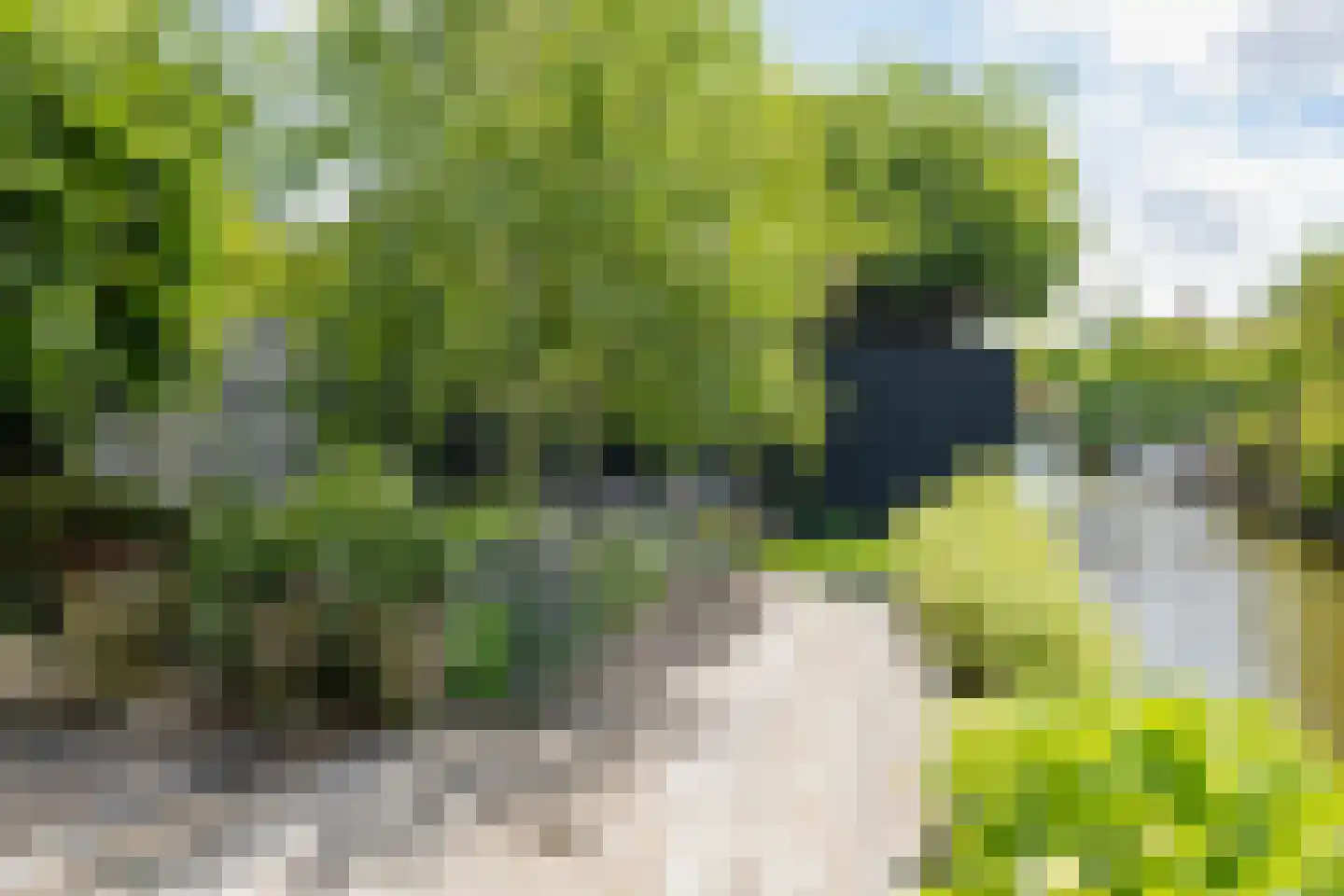 Valentijnsingel 6 Ter Aar thumbnail 65