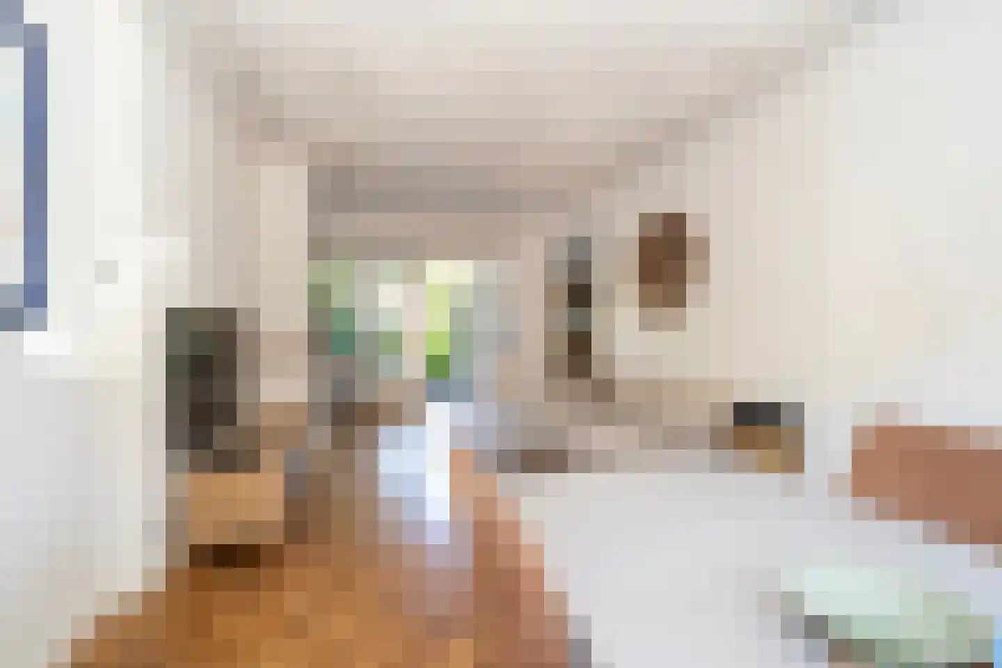 Valentijnstraat 14 Tilburg thumbnail 12