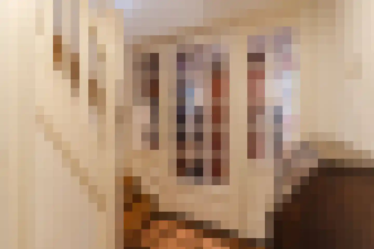 Valentijnstraat 14 Tilburg thumbnail 14