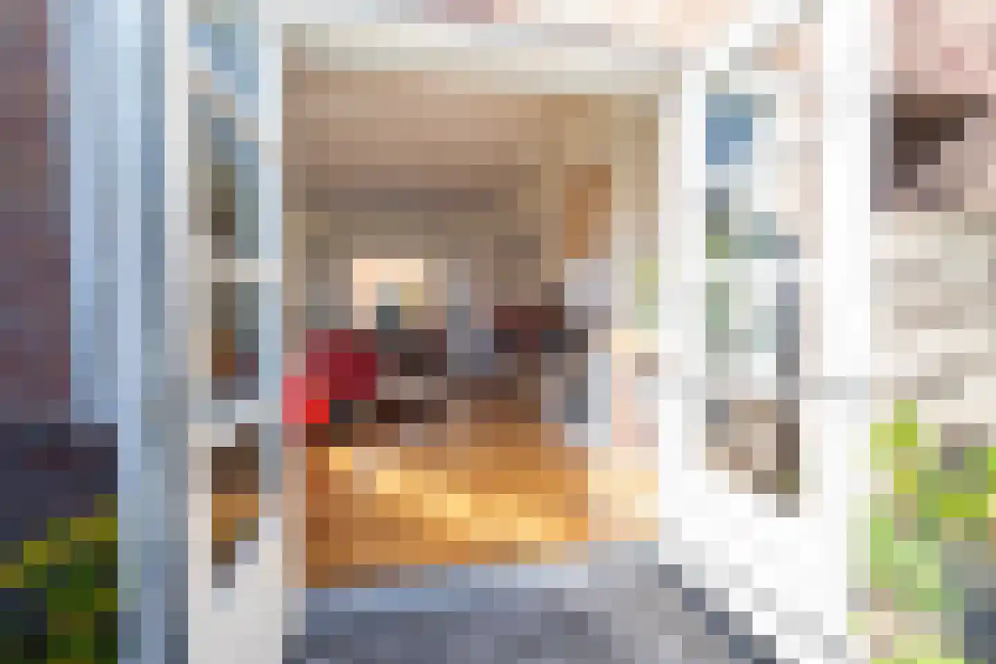 Valentijnstraat 14 Tilburg thumbnail 15