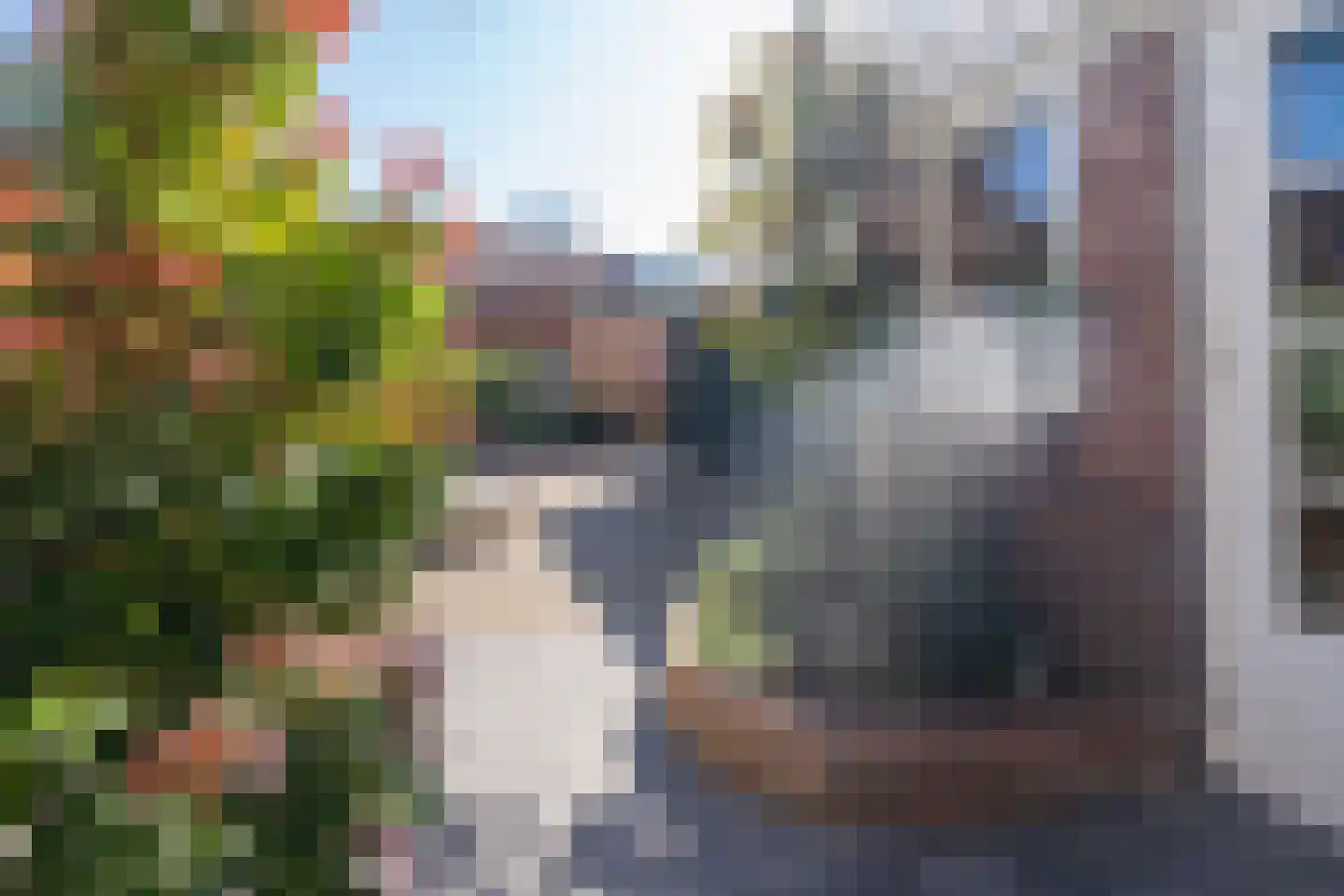 Valentijnstraat 14 Tilburg thumbnail 22