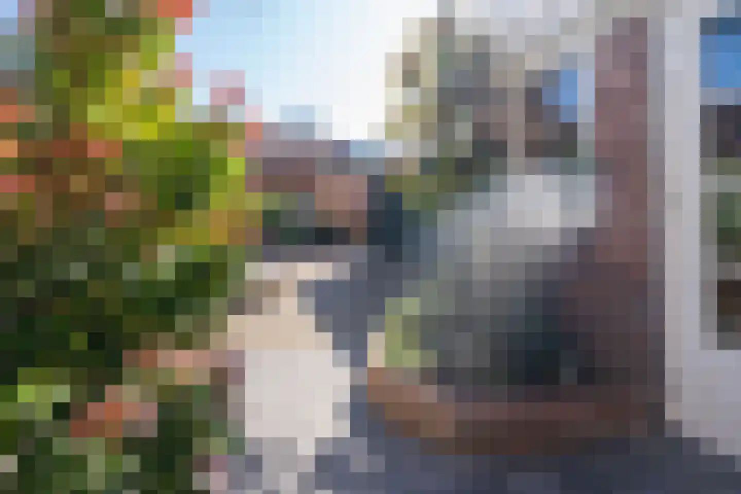 Valentijnstraat 14 Tilburg thumbnail 23