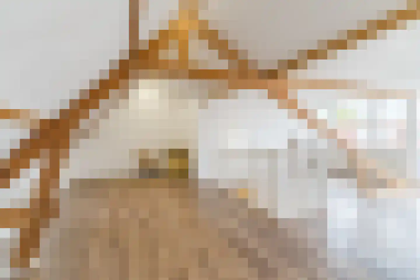 Valentijnstraat 14 Tilburg thumbnail 34