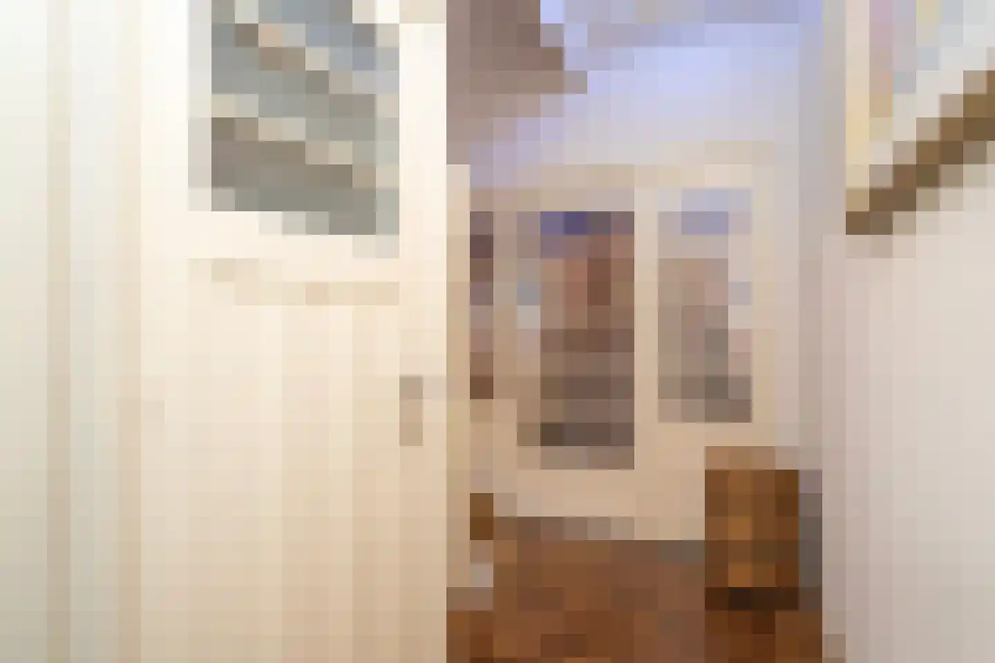 Valentijnstraat 14 Tilburg thumbnail 4
