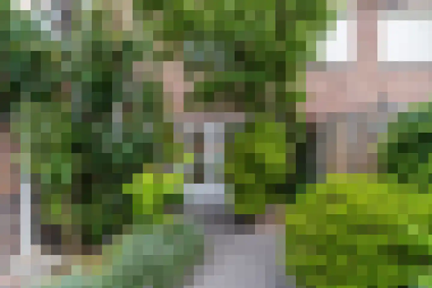 Valentijnstraat 14 Tilburg thumbnail 43
