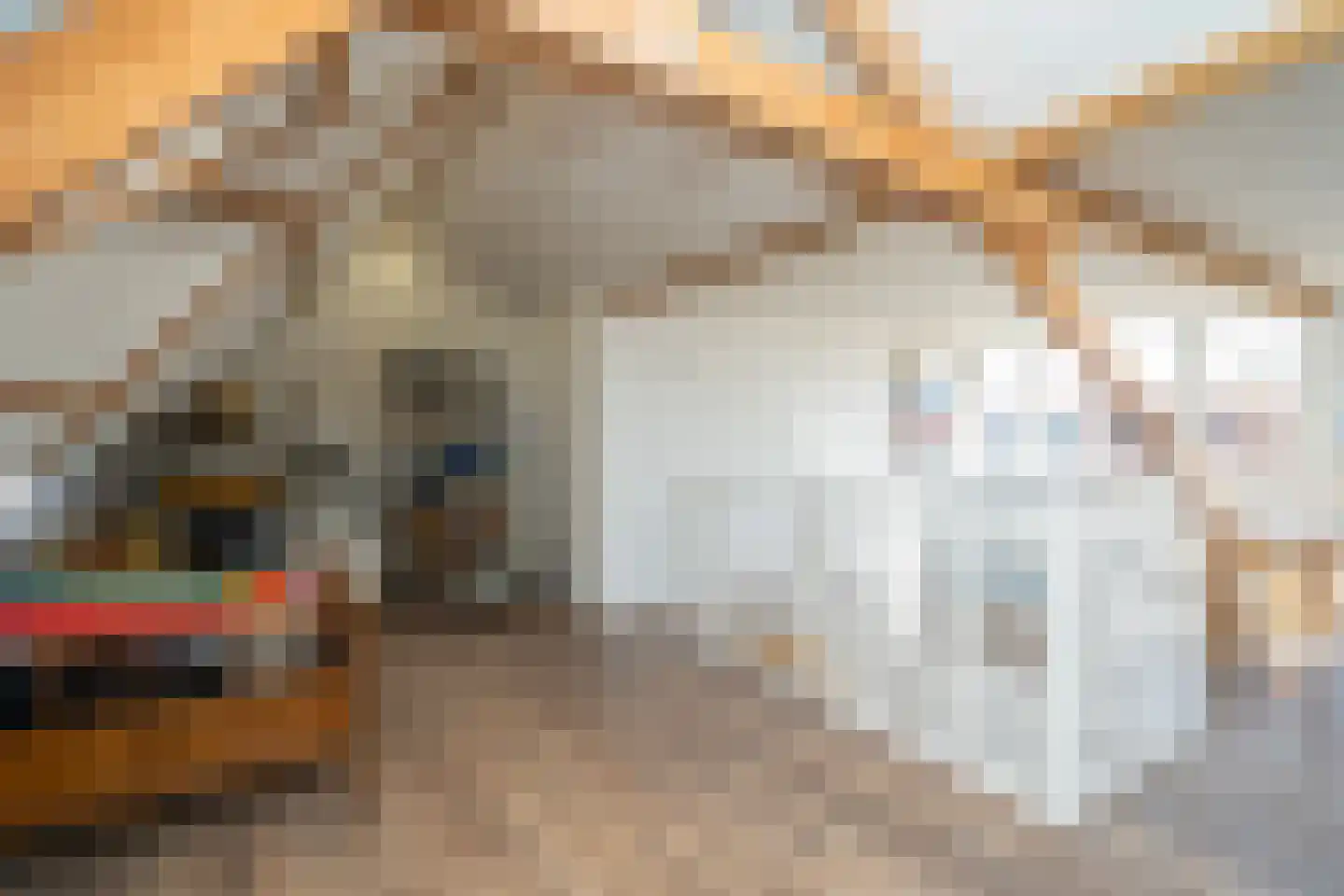 Valentijnstraat 14 Tilburg thumbnail 47