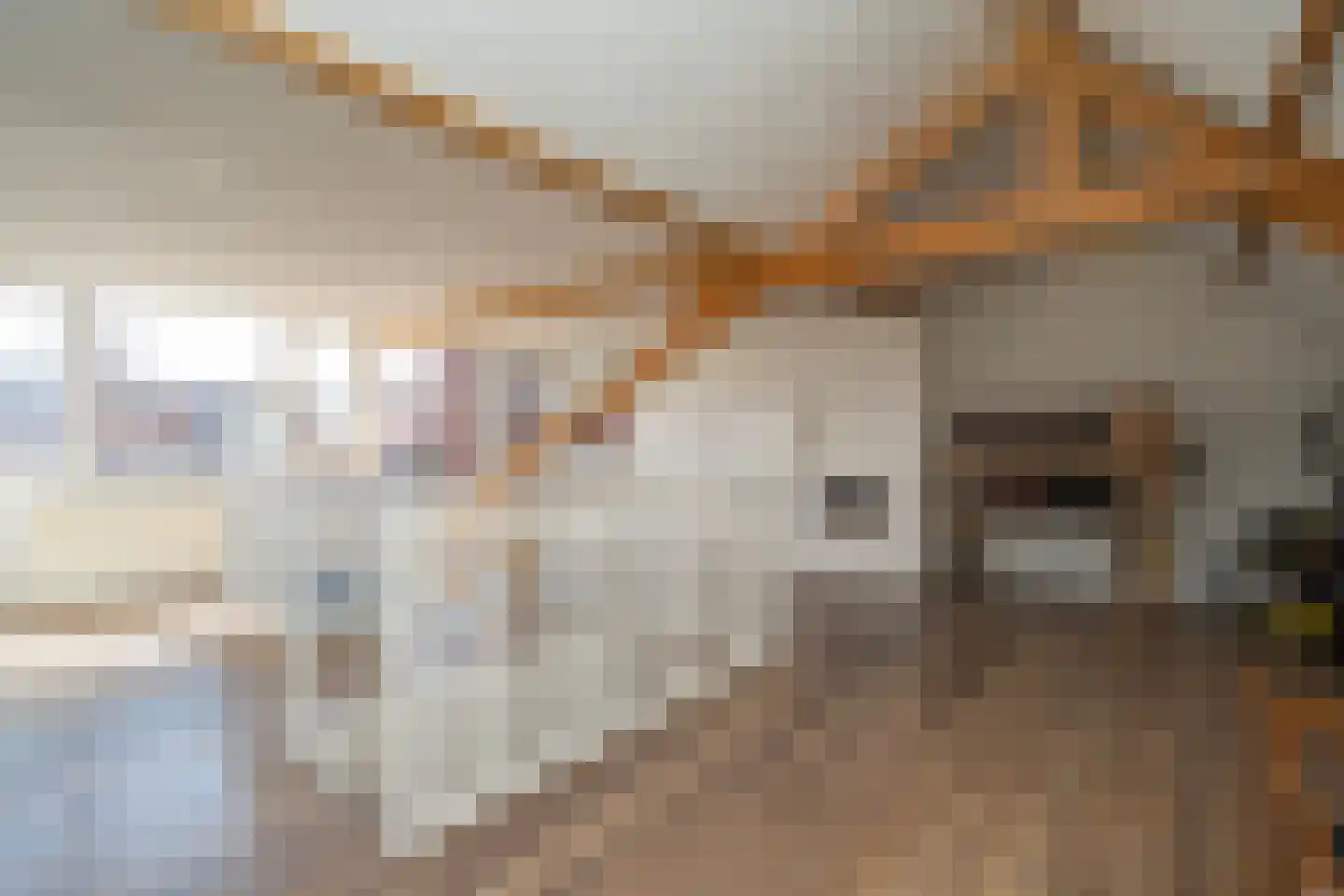 Valentijnstraat 14 Tilburg thumbnail 48