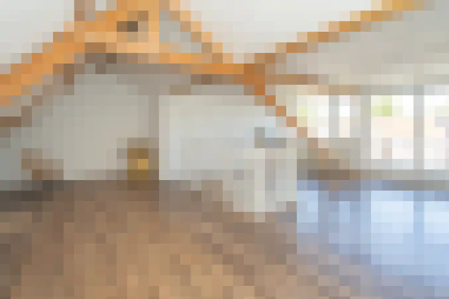 Valentijnstraat 14 Tilburg thumbnail 5