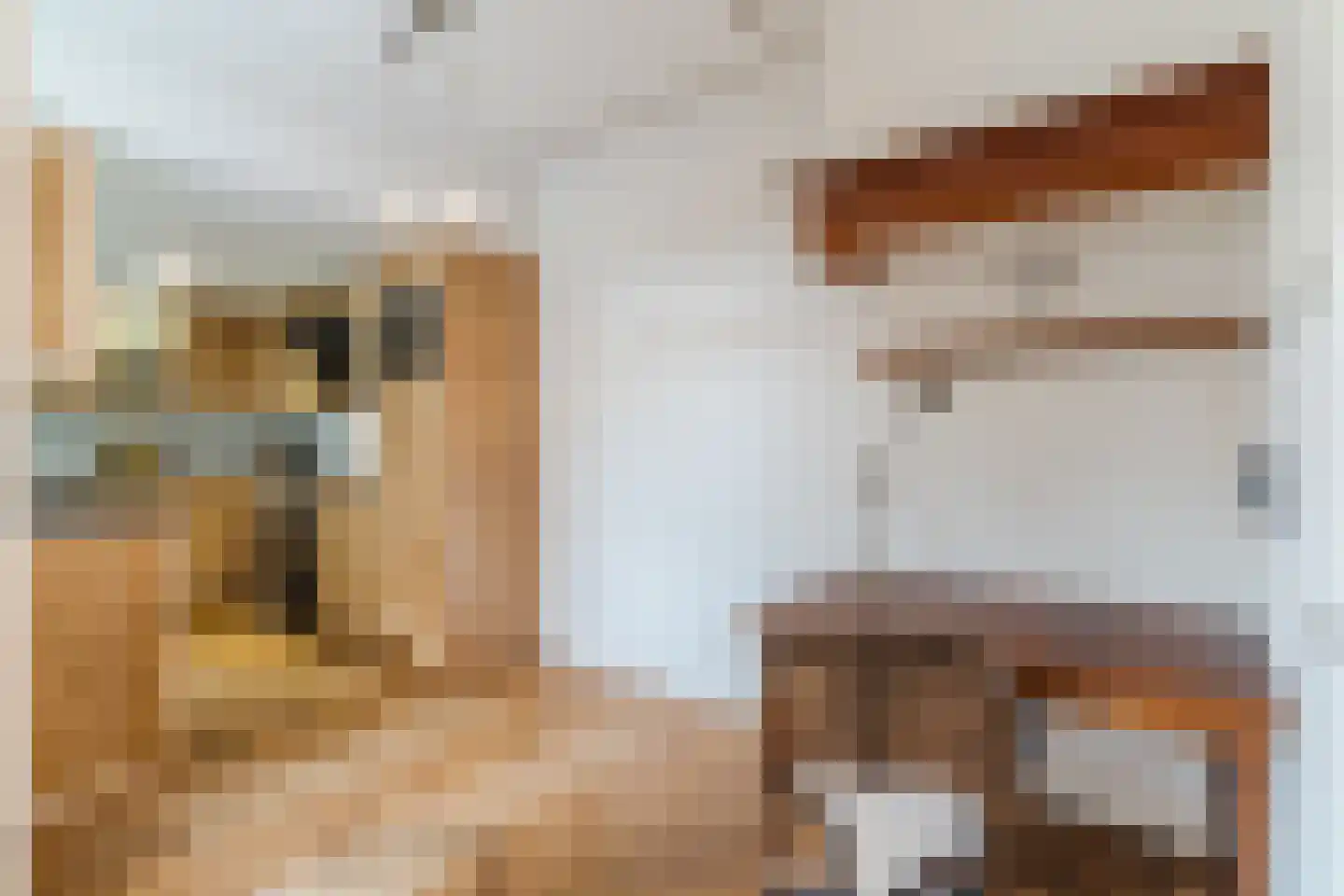 Valentijnstraat 14 Tilburg thumbnail 9