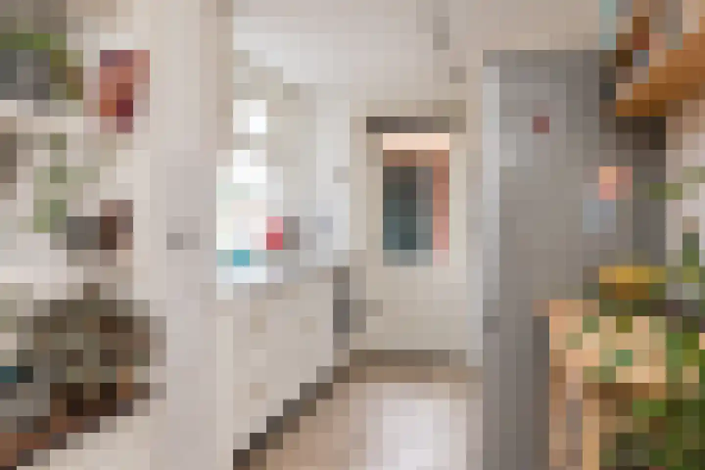 Valentijnstraat 43 Tilburg thumbnail 16