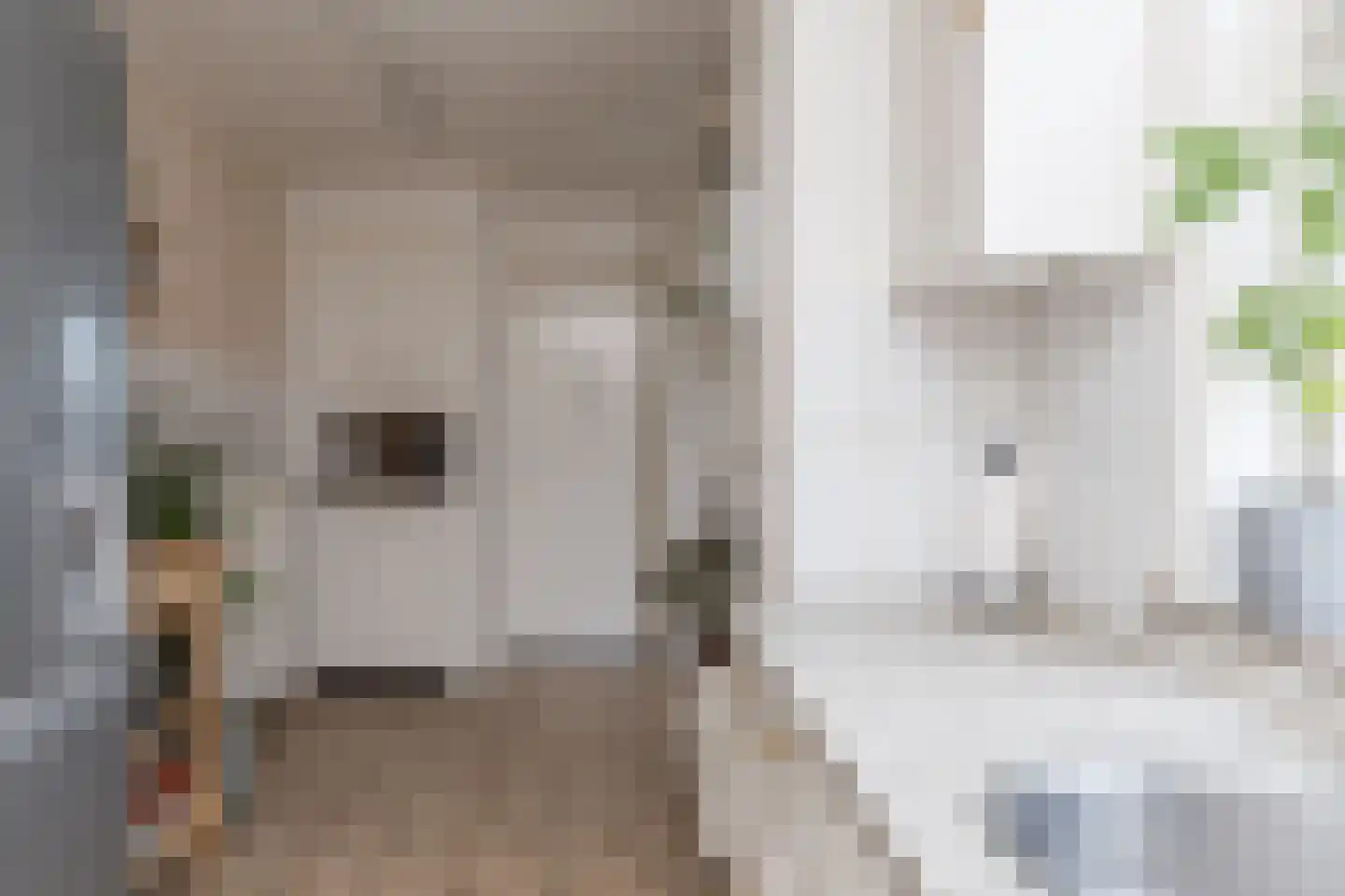 Valentijnstraat 43 Tilburg thumbnail 17