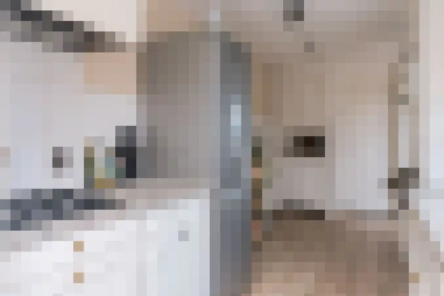 Valentijnstraat 43 Tilburg thumbnail 18