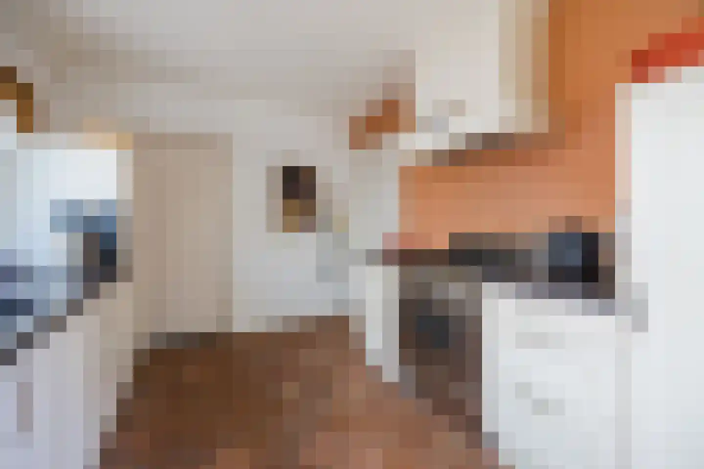 Valentina Tereshkovastraat 8 Hilvarenbeek thumbnail 17