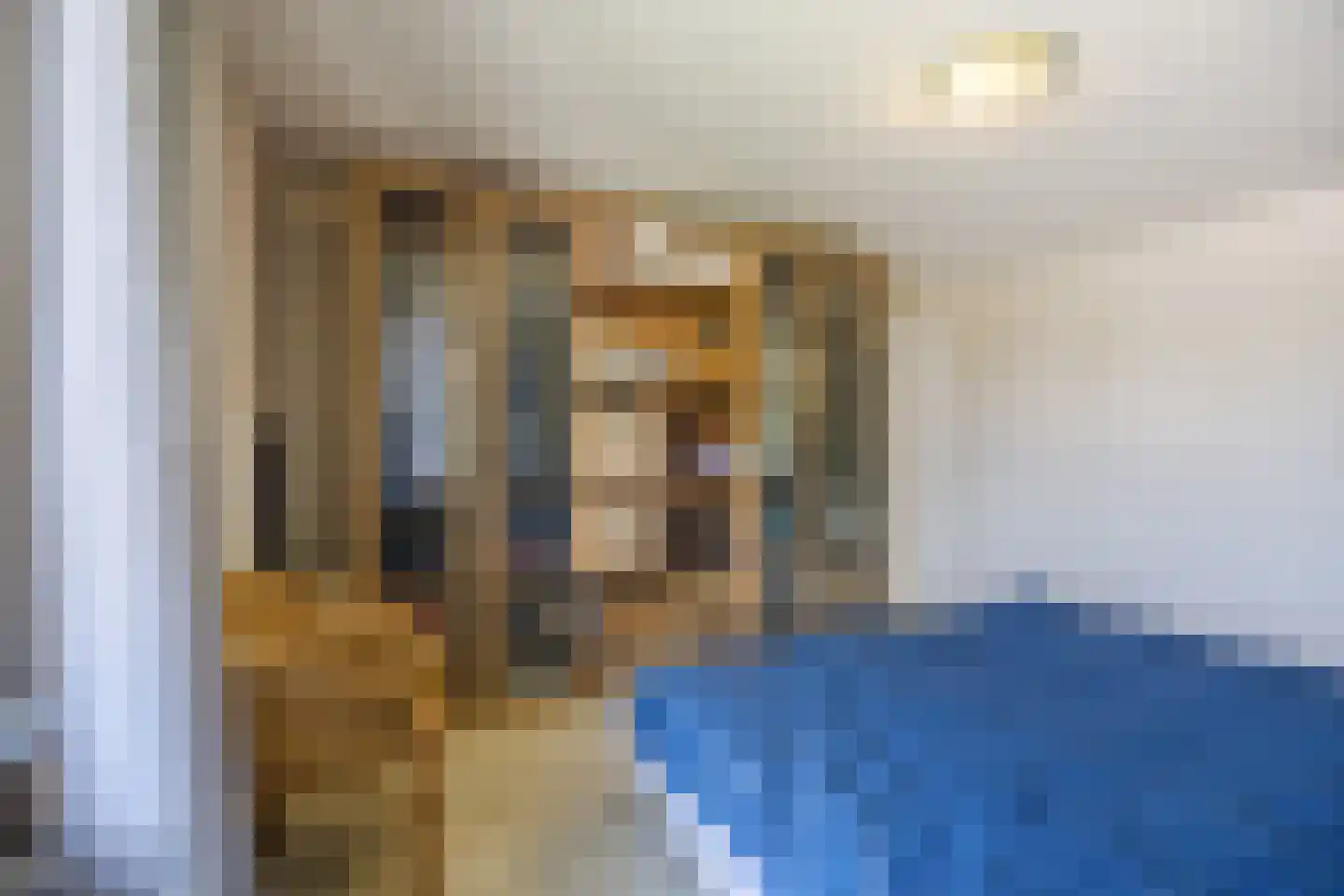 Valentina Tereshkovastraat 8 Hilvarenbeek thumbnail 27