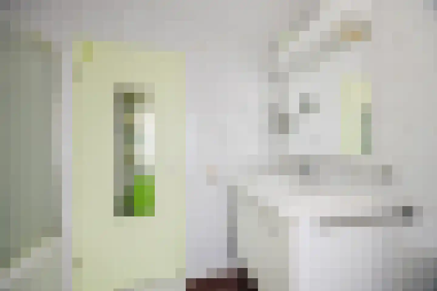 Valentina Tereshkovastraat 8 Hilvarenbeek thumbnail 33