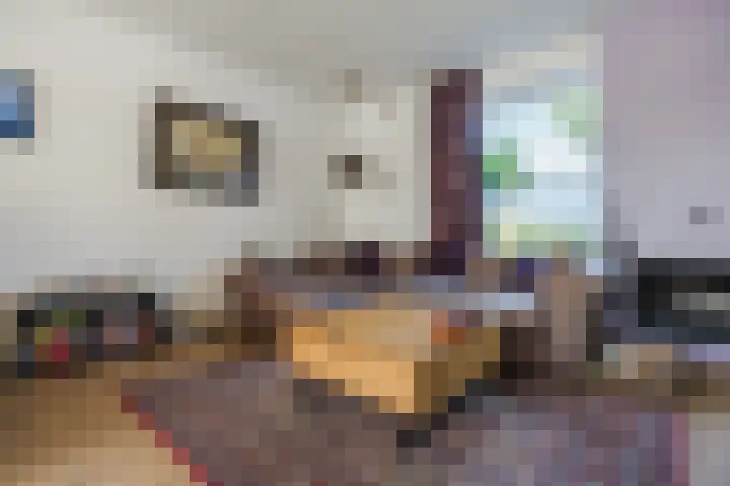Valentina Tereshkovastraat 8 Hilvarenbeek thumbnail 4