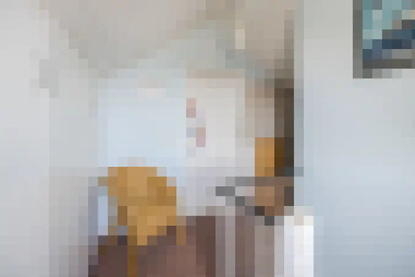Valentina Tereshkovastraat 8 Hilvarenbeek thumbnail 42