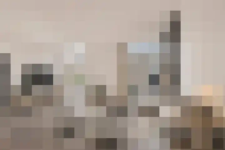 Valepoort 4 A Arnhem thumbnail 7