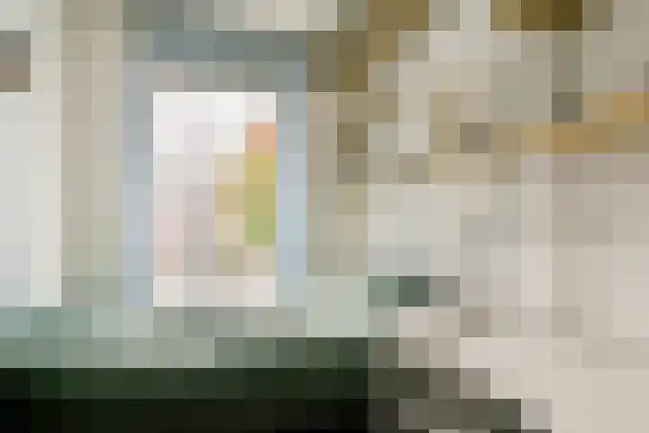 Valeriaan 11 Alphen aan den Rijn thumbnail 12