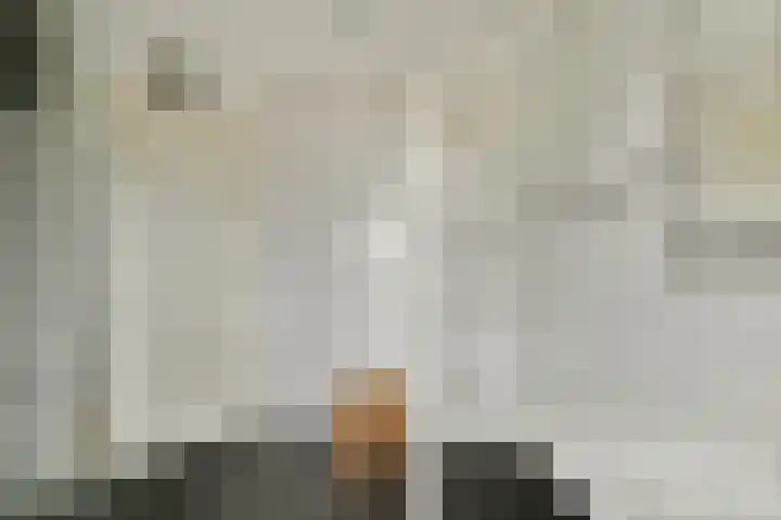 Valeriaan 11 Alphen aan den Rijn thumbnail 15