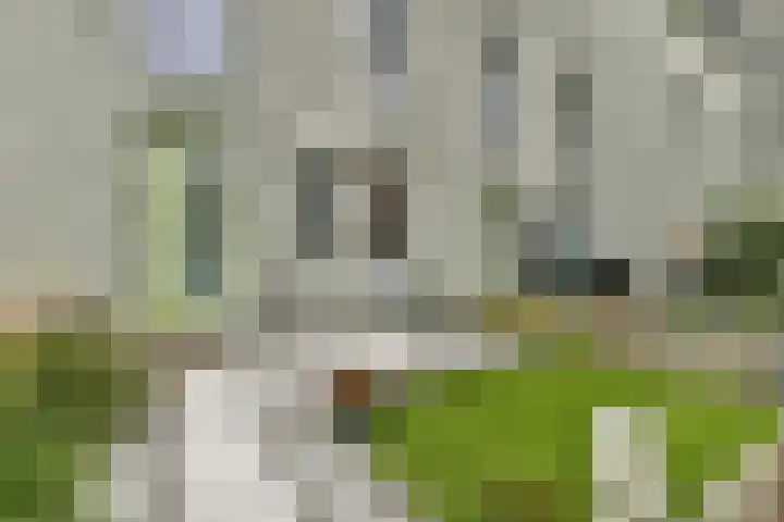 Valeriaan 11 Alphen aan den Rijn thumbnail 16