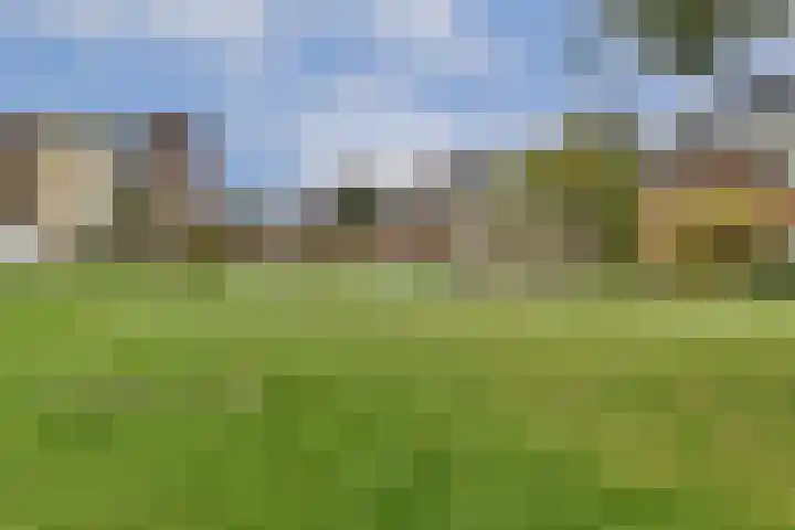 Valeriaan 11 Alphen aan den Rijn thumbnail 17