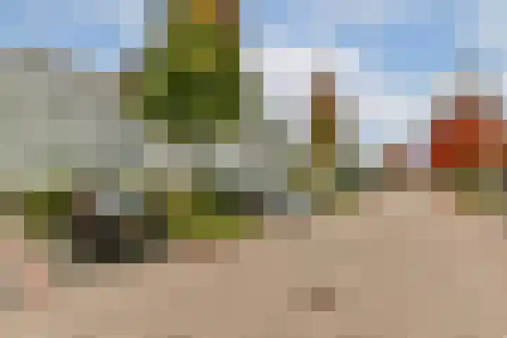 Valeriaan 11 Alphen aan den Rijn thumbnail 18
