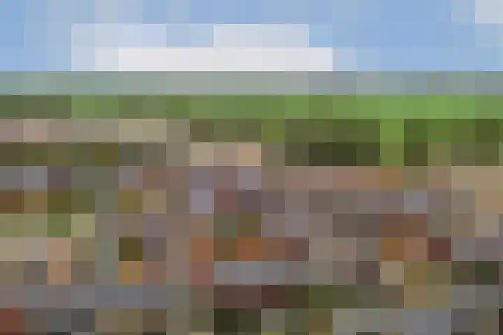 Valeriaan 11 Alphen aan den Rijn thumbnail 19