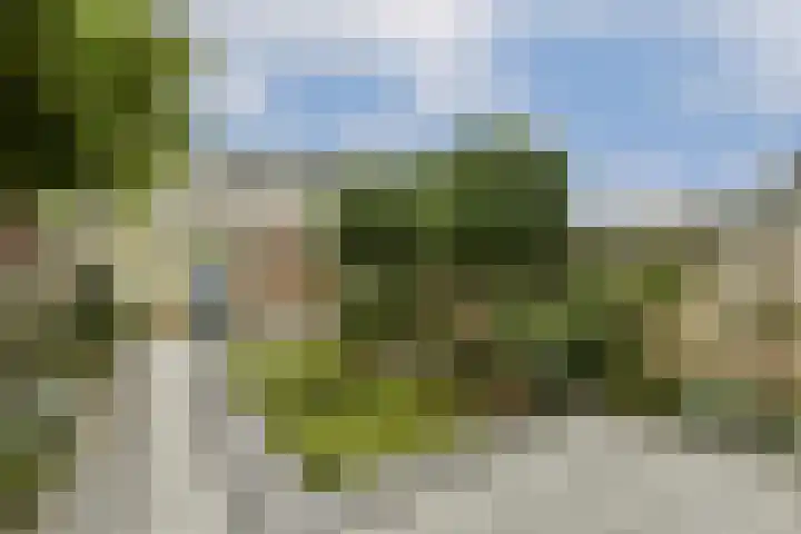 Valeriaan 11 Alphen aan den Rijn thumbnail 4