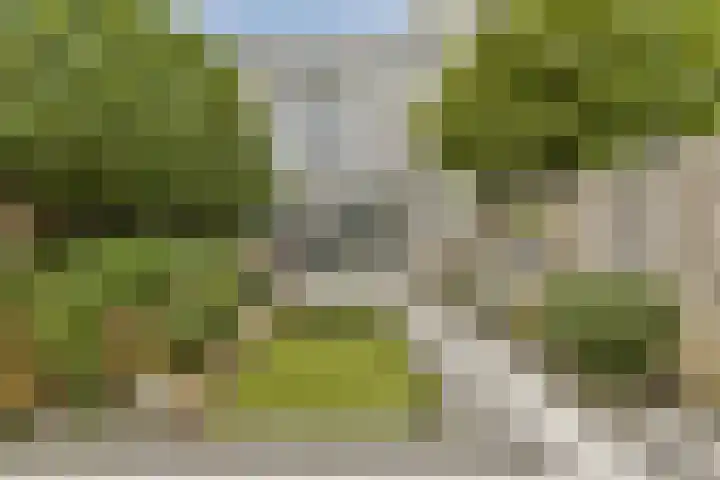 Valeriaan 11 Alphen aan den Rijn thumbnail 5