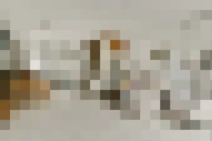 Valeriaan 11 Alphen aan den Rijn thumbnail 6