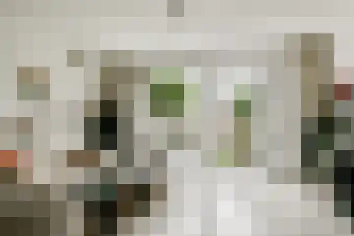 Valeriaan 11 Alphen aan den Rijn thumbnail 7