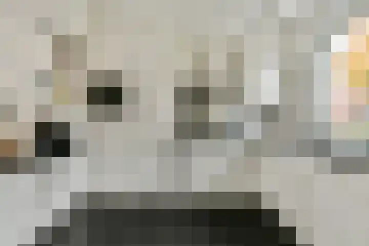 Valeriaan 11 Alphen aan den Rijn thumbnail 8