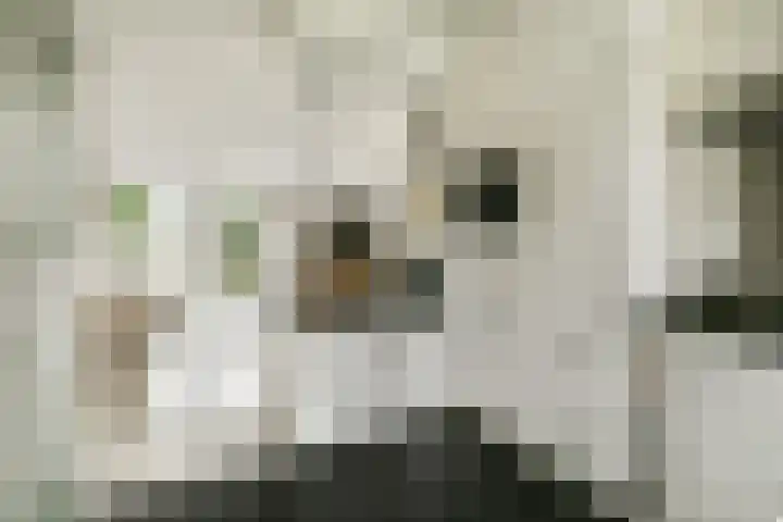Valeriaan 11 Alphen aan den Rijn thumbnail 9