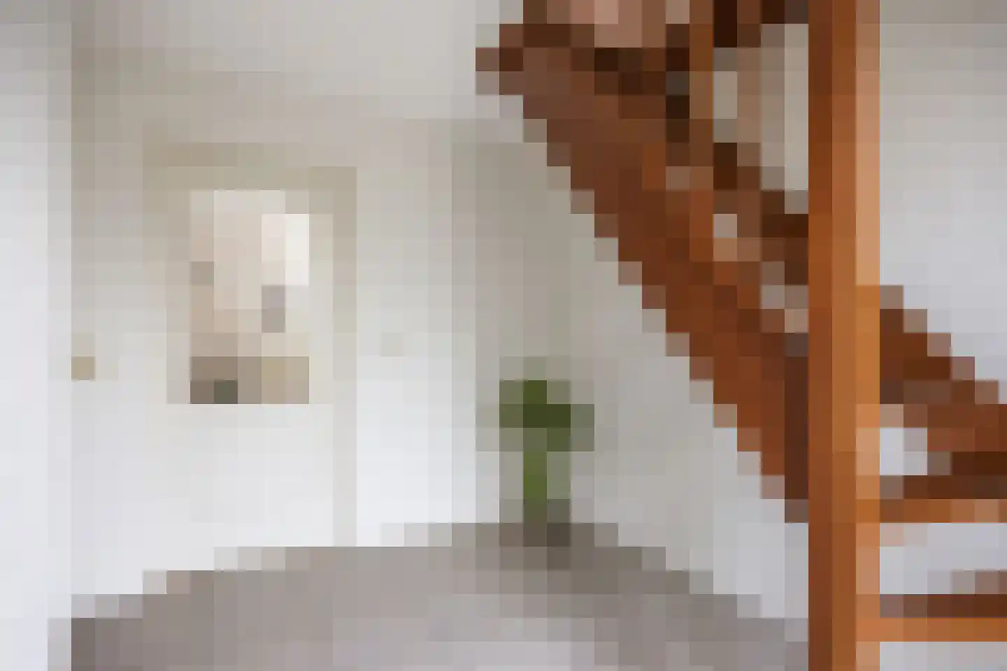 Valeriaan 12 Marum thumbnail 14