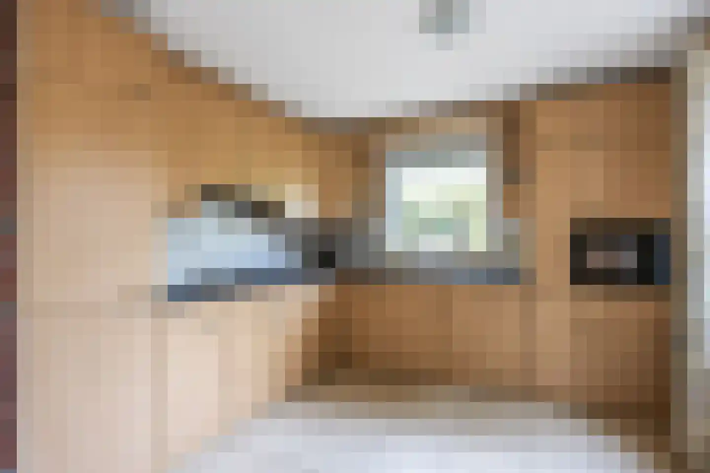 Valeriaan 12 Marum thumbnail 32