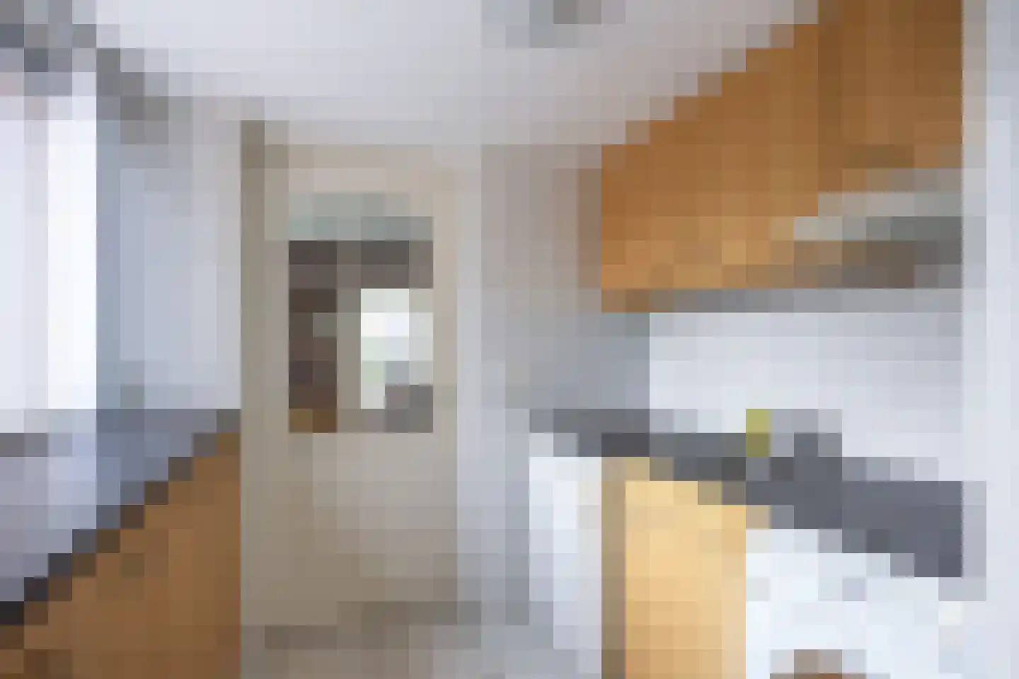 Valeriaan 12 Marum thumbnail 38